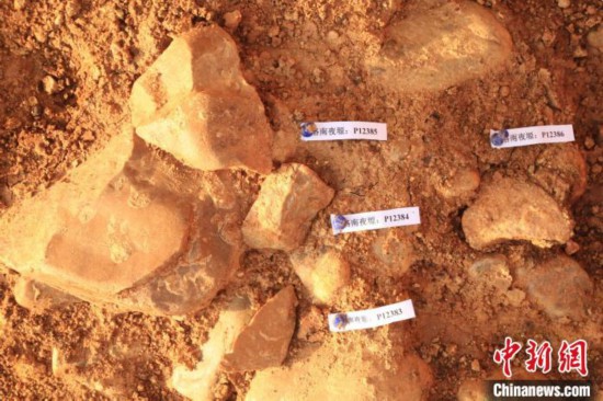 洛南夜塬遗址第36层发现的石制品。 陕西省考古研究院供图