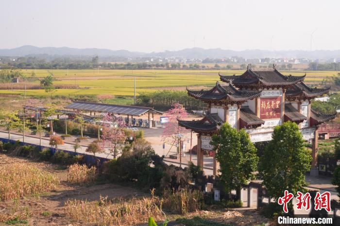 广西宾阳县首个风光储一体综合能源站位于古辣镇古辣社区。陈伯鑫 摄
