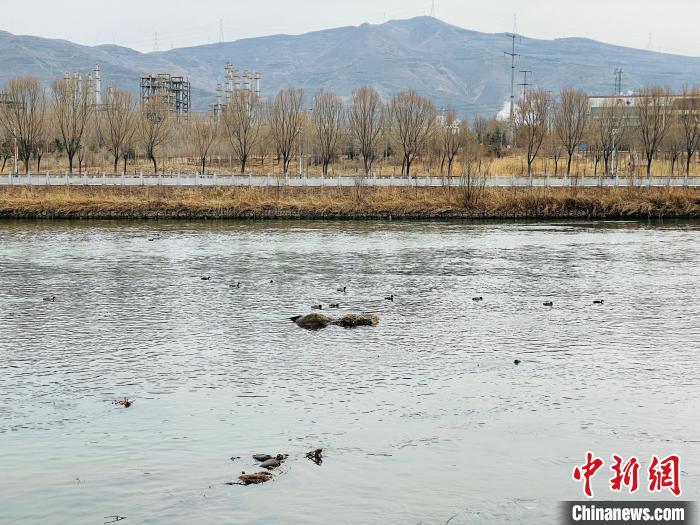 黄河上游最大支流湟水河水质持续改善