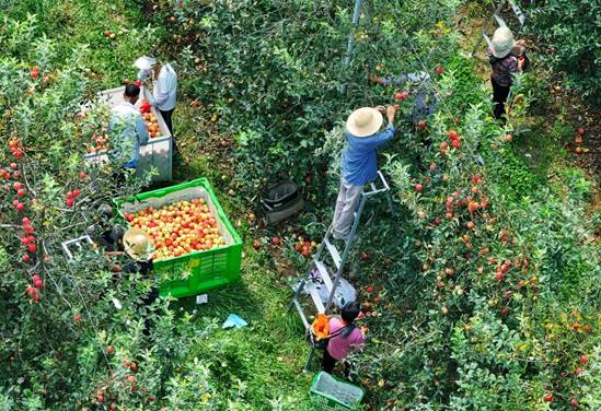 微信图片_20251101231232
