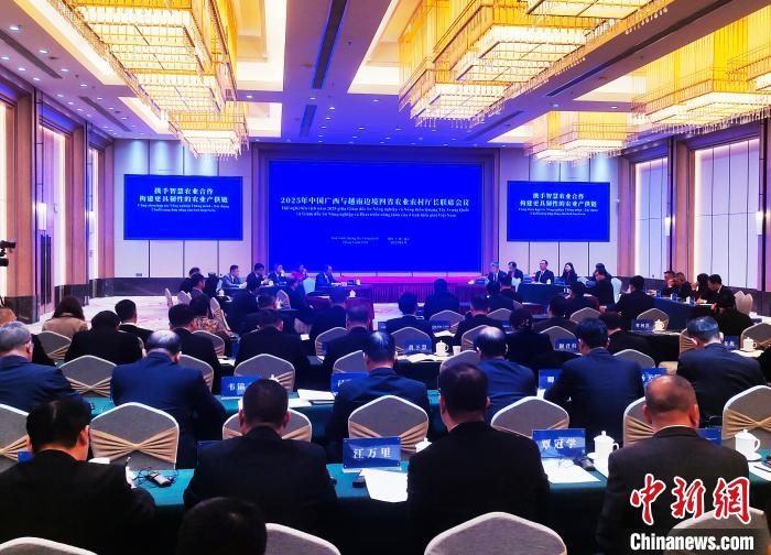 1月20日，2025年中国广西与越南边境四省农业农村厅长联席会议在广西南宁市召开。图为会议现场。中新网记者 黄艳梅 摄