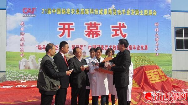 IMG_0318_看图�?jpg
