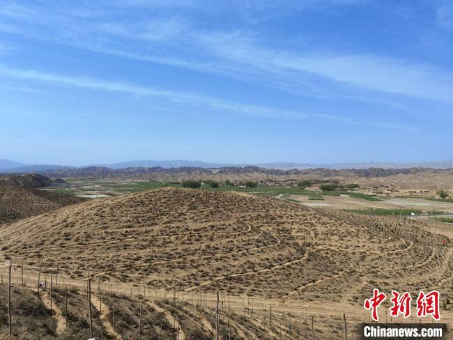 4月底，正在建设中的45万亩“平川区国家储备林项目”。　冯志军 摄