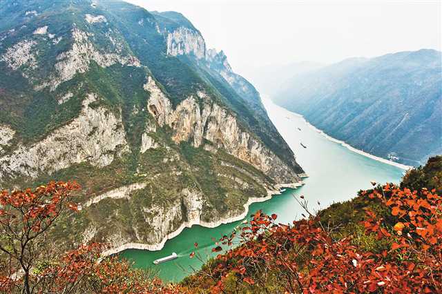 巫山县神女景区拍摄的轮船航行在红叶映衬下的长江三峡巫峡水域。（本报资料图片）特约摄影 王忠虎\视觉重庆