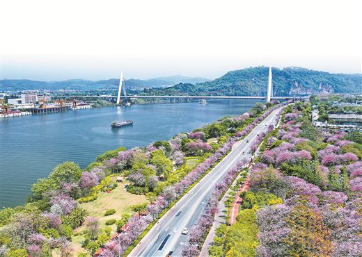 百里柳江穿城而过,沿岸风光旖旎。 柳州市生态环境局供图