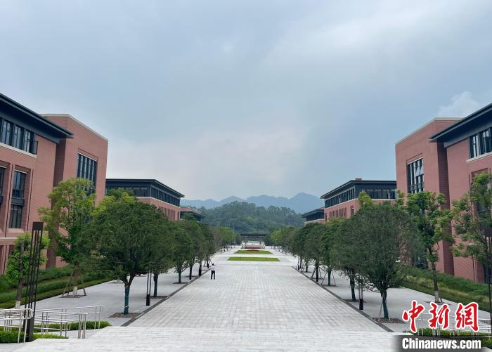 图为重庆中医药学院。 钟旖 摄 图为重庆中医药学院。 钟旖 摄