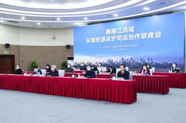 嘉陵江流域环境资源保护司法协作联席会现场。重庆一中法院供图