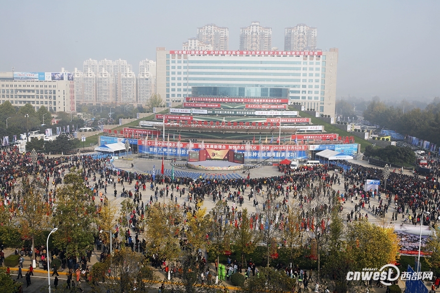 组图：逛会忙！农高会首日稀奇农特产品引人关注