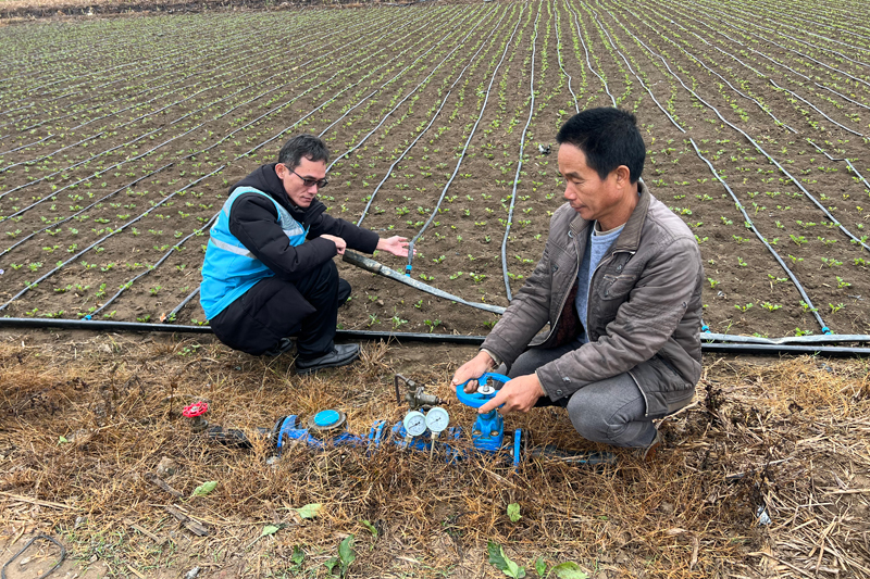 驻村队员协助脱贫户在花生种植田地里进行灌溉。曾丽元摄