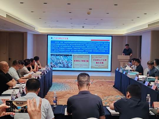 图示, 示意图

中度可信度描述已自动生成:ver1