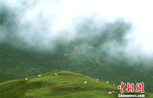 资料图：七月的祁连山云雾缭绕。　郎文瑞摄