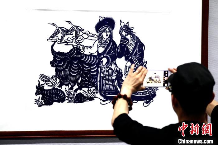 文化多元和谐政协委员建言青海藏区发展生态旅游业