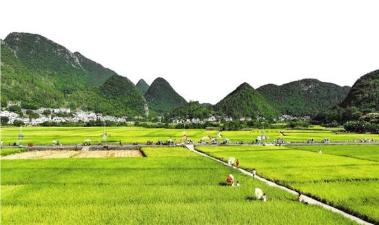 游客在万峰林景区游玩。 本报记者 刘朝富 摄