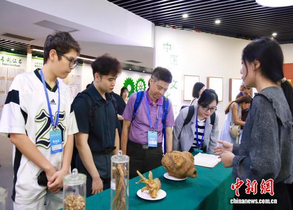图为活动现场。广西商务厅供图