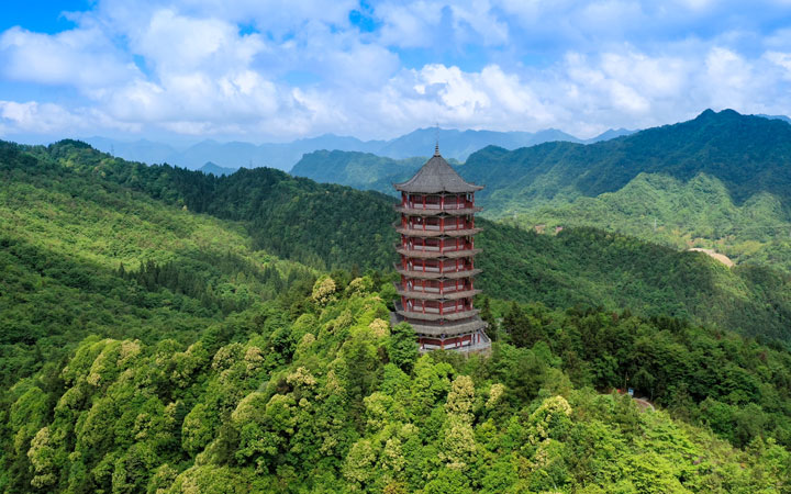 箐山公园。