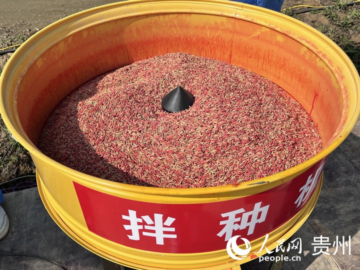 贵阳市堰塘村农机作业现场,拌种机正在运转。人民网 陈洁泉摄