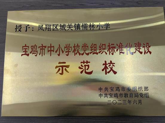 市级党组织示范校