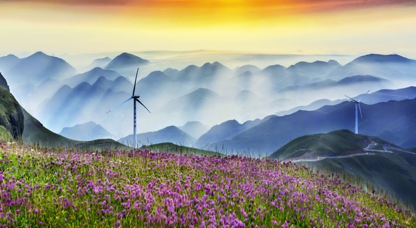 韭菜坪花海 聂绍钧 (1).jpg