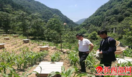 QQ截图20180612155705.png