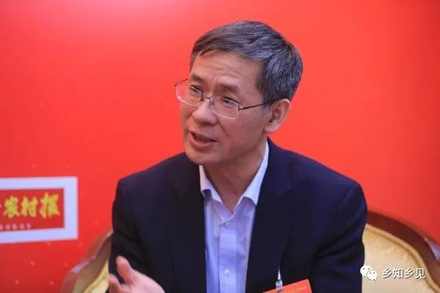 中国社会科学院农村发展研究所所长、研究员魏后凯 图片