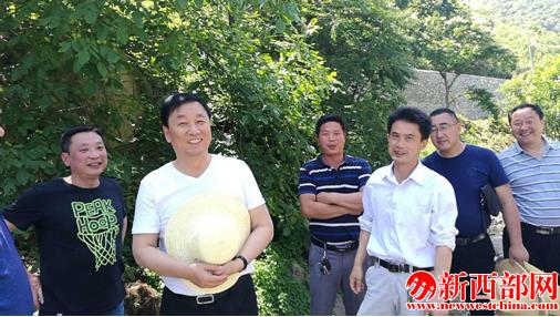 QQ截图20180612155715.png