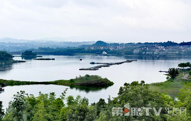 长寿湖水清岸绿。第1眼TV-华龙网首席记者 陈雨 摄