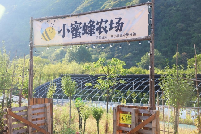 焕新“农家院” 开拓“新赛道”——宝鸡市渭滨区推动乡村文旅融合发展